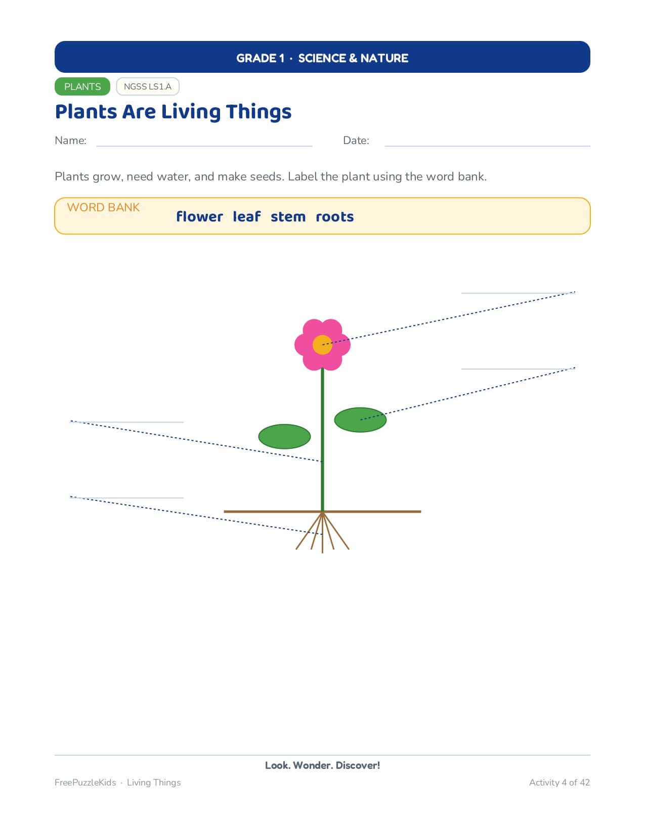 Living Things-Grade 1 Science & Nature Worksheets – worksheet preview page 5