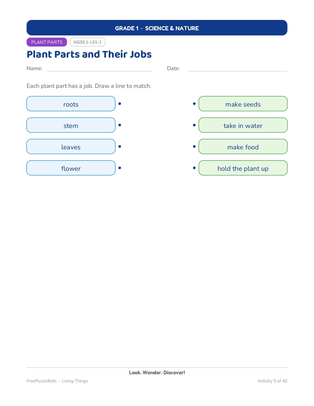 Living Things-Grade 1 Science & Nature Worksheets – worksheet preview page 6