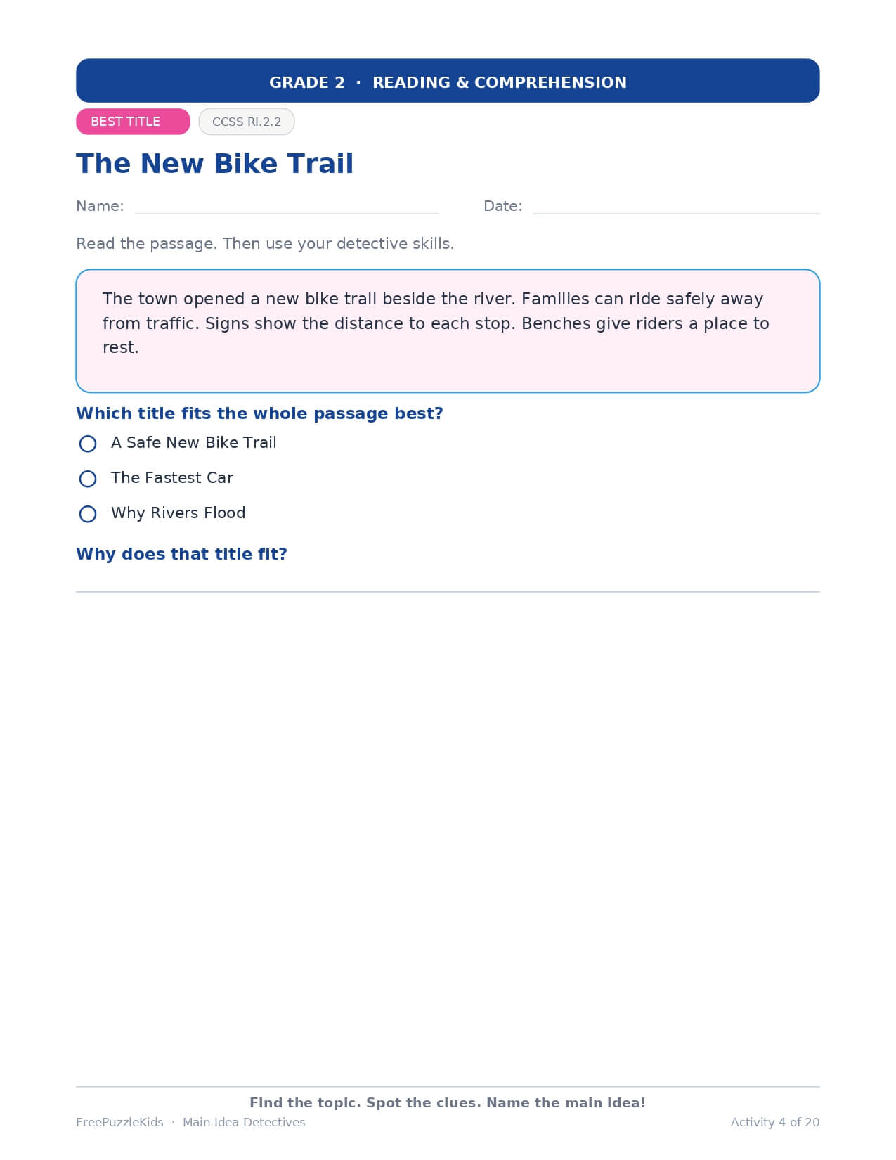 Main Idea Detectives – Grade 2 – worksheet preview page 5