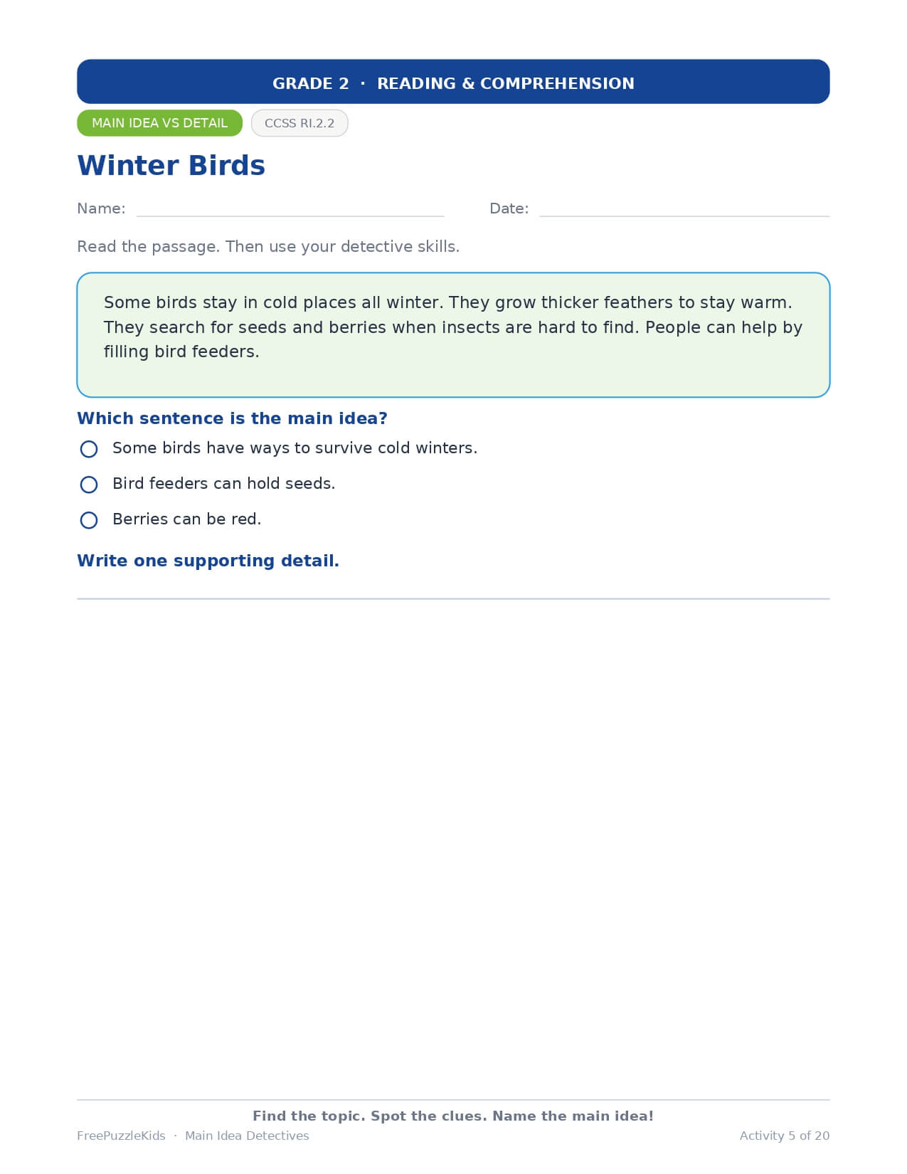 Main Idea Detectives – Grade 2 – worksheet preview page 6